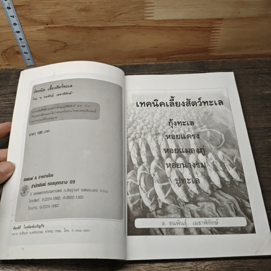 เคล็บลับ เลี้ยงสัตว์ทะเลเศรษฐกิจ ให้เกิดรายได้ - ธนพันธุ์ เมธาพิทักษ์ รูปที่ 6