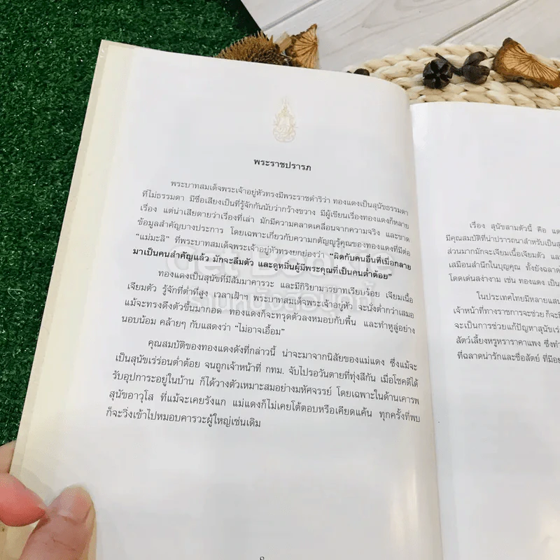 เรื่อง ทองแดง The Story of Tongdaeng (ปกแข็ง) รูปที่ 11
