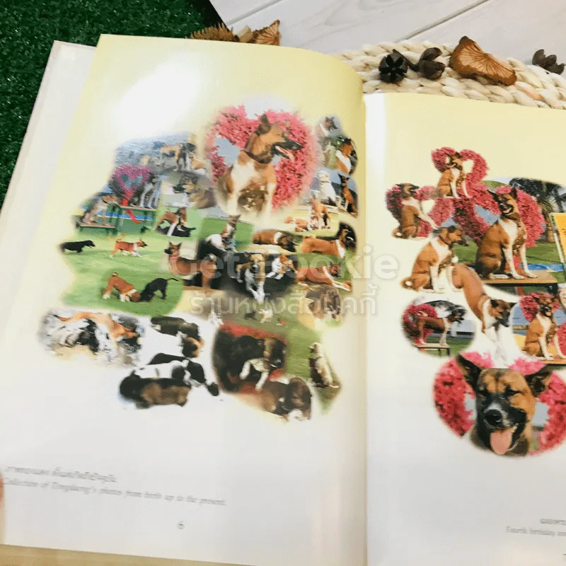 เรื่อง ทองแดง The Story of Tongdaeng (ปกแข็ง) รูปที่ 9