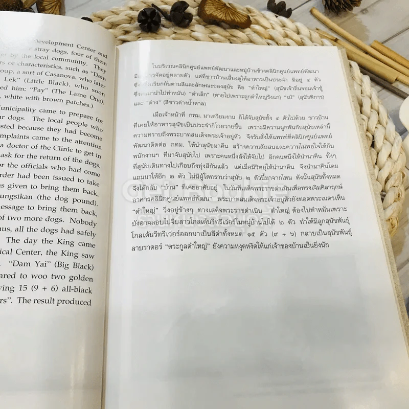 เรื่อง ทองแดง The Story of Tongdaeng (ปกแข็ง) รูปที่ 18