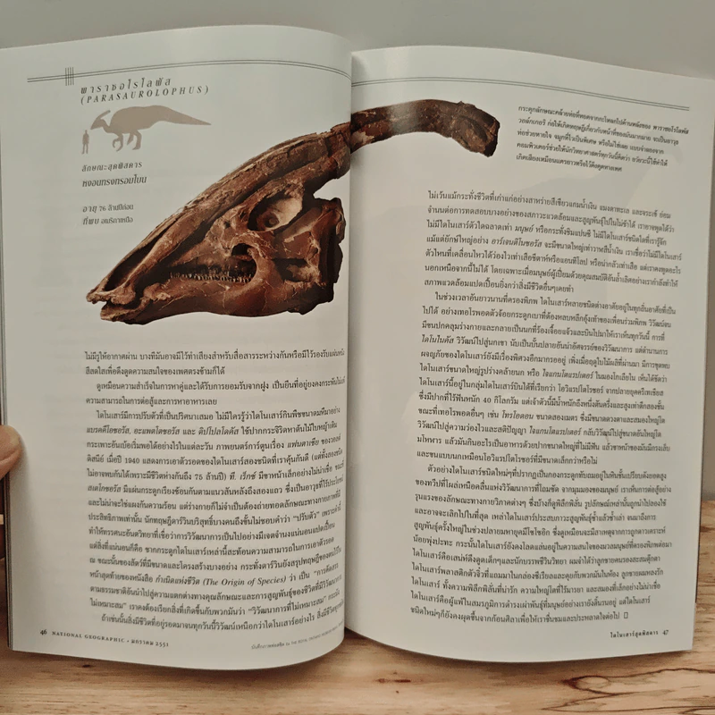 National Geographic ฉบับที่ 78 ม.ค. 2551 รูปที่ 8
