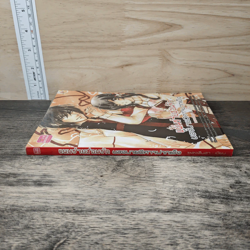 แผนร้ายซ่อนรัก ของนายปีศาจปากแข็ง - ซองอึนฮา รูปที่ 2