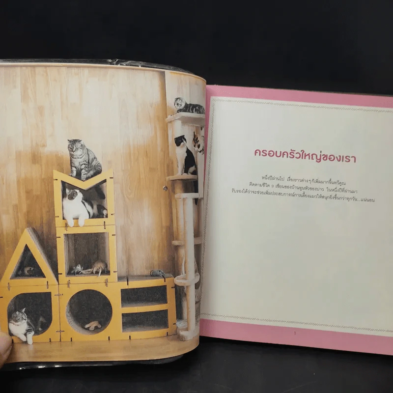 บ้านหลังใหญ่ - ทูนหัวของบ่าว รูปที่ 12