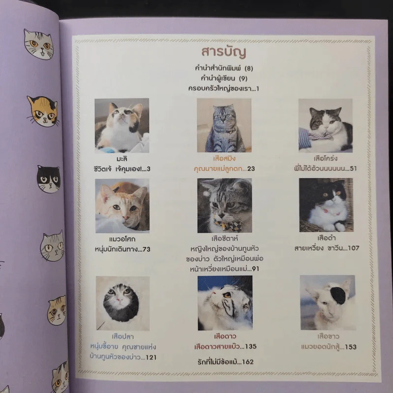 บ้านหลังใหญ่ - ทูนหัวของบ่าว รูปที่ 11