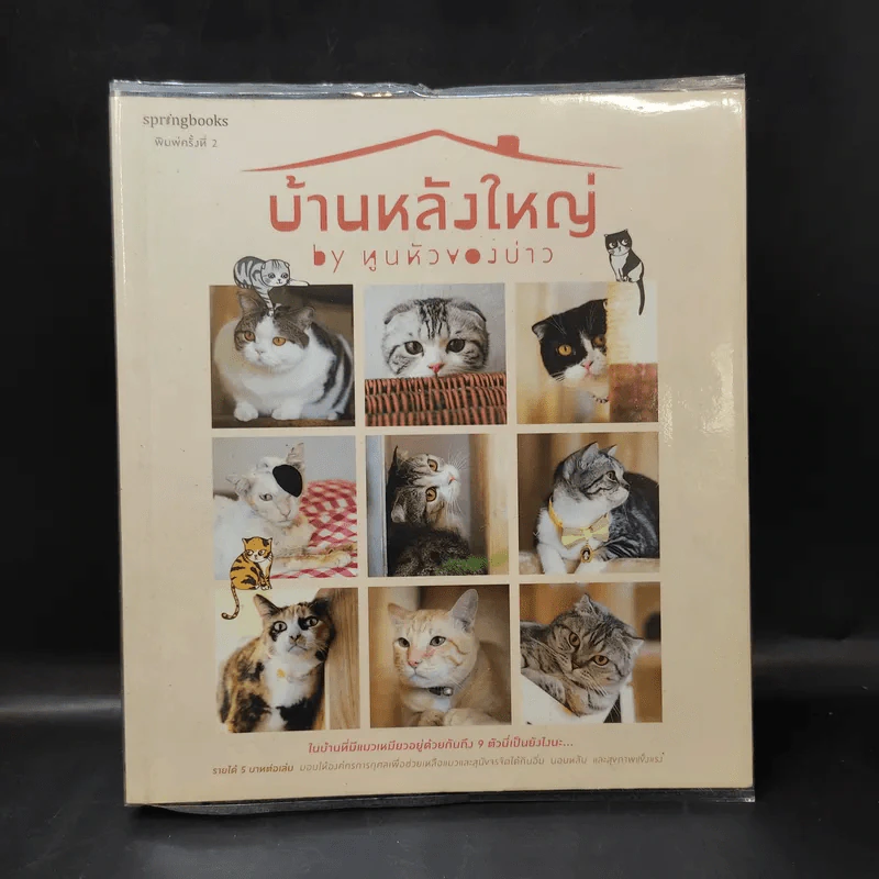 บ้านหลังใหญ่ - ทูนหัวของบ่าว รูปที่ 1