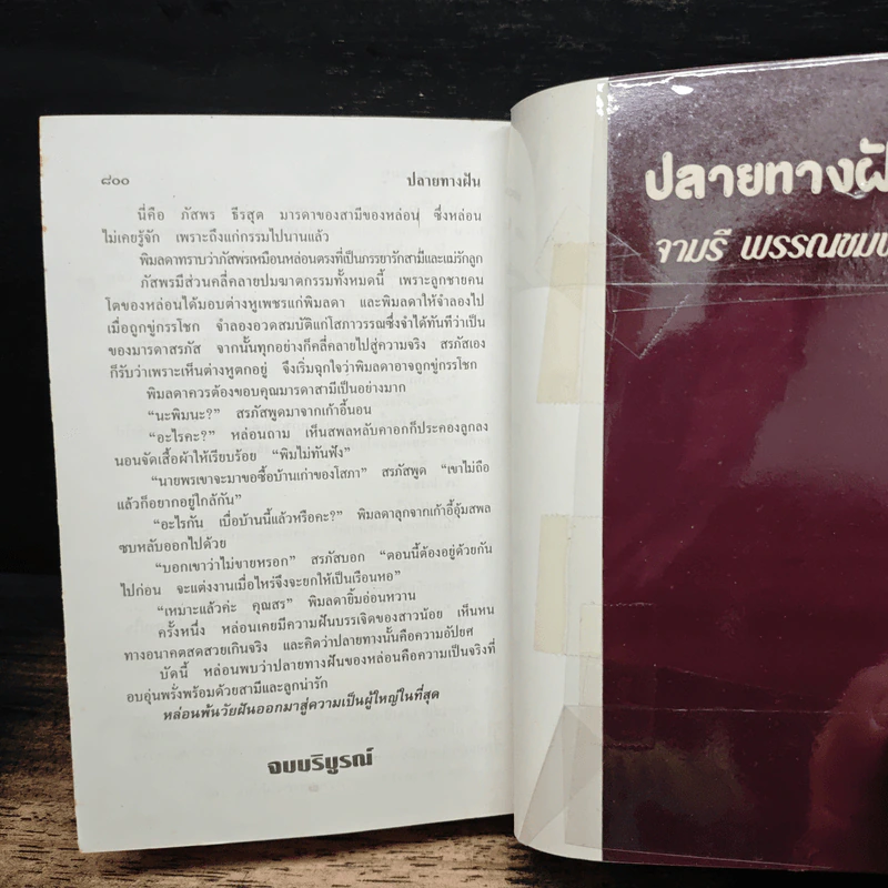 ปลายทางฝัน - จามรี พรรณชมพู รูปที่ 9