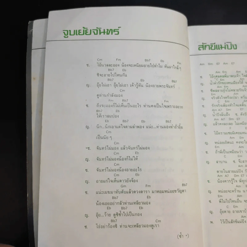 ชุ่มเพลงรัก จาก โบตั๋น รูปที่ 15