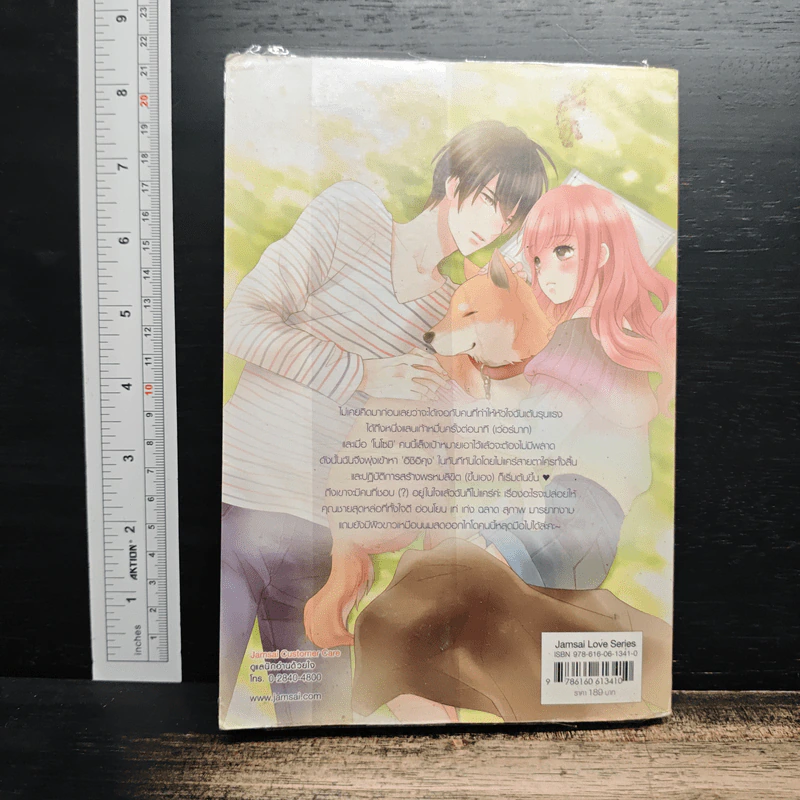 Nippon Cutie รักหวานละมุนวุ่นหัวใจหนุ่มชิงกันเซน - เจ้าหญิงผู้เลอโฉม รูปที่ 2