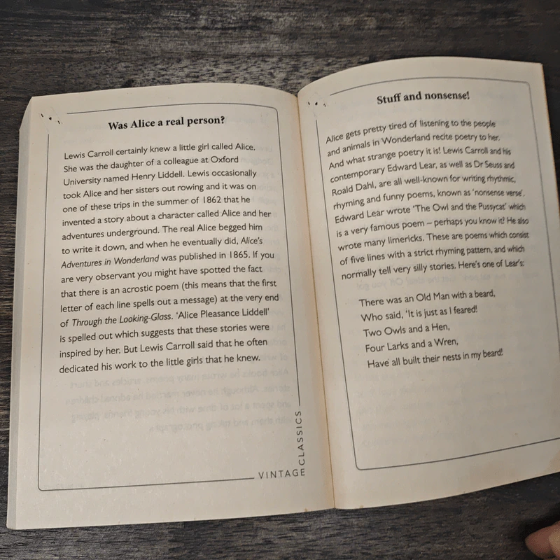 Alice's Adventures in Wonderland - Lewis Carroll รูปที่ 8