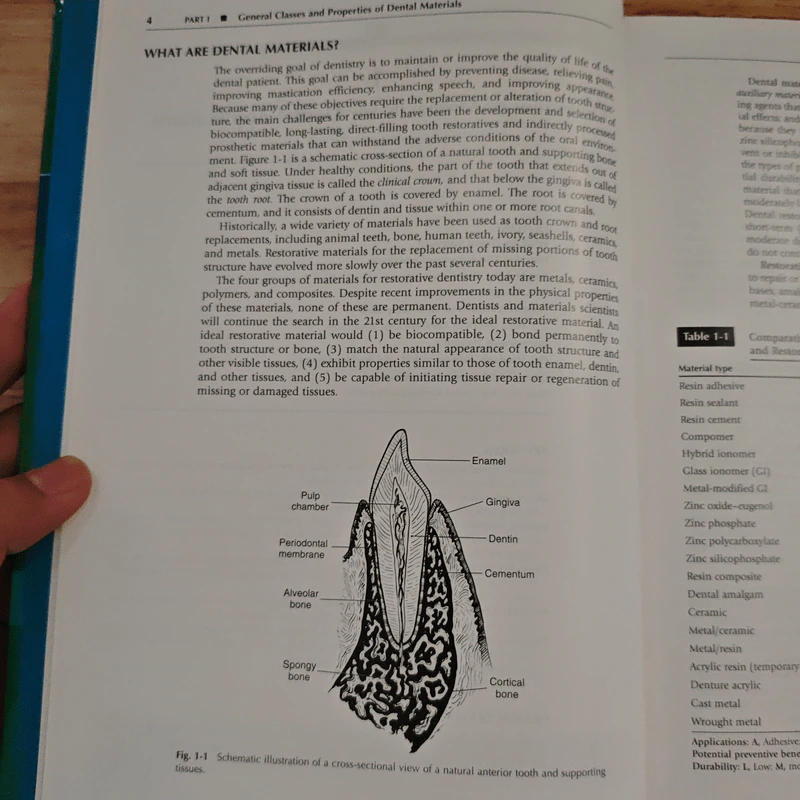 Phillips' Science of Dental Materials รูปที่ 9