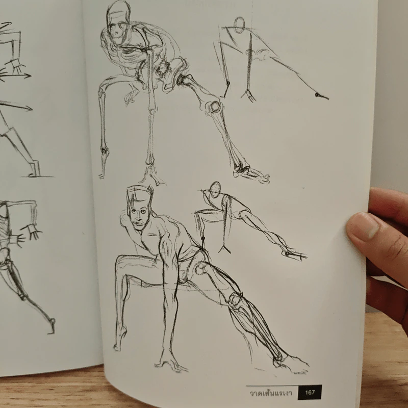 วาดเส้นแรงเงา Anatomy & Figure Drawing รูปที่ 11