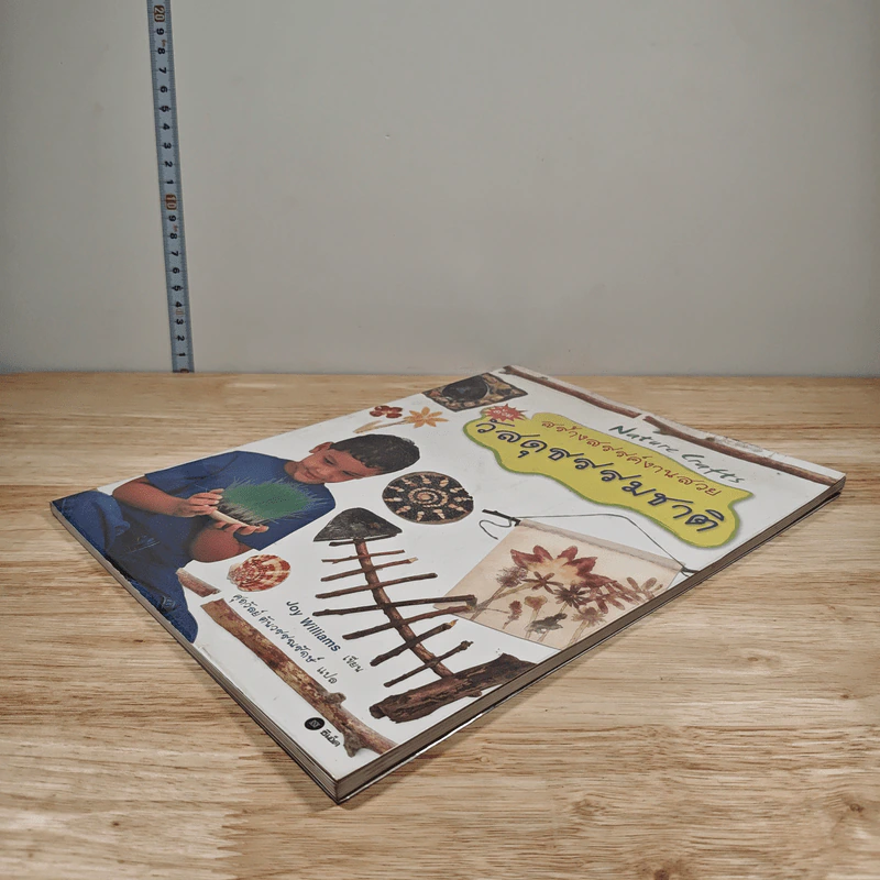 หนังสือ สร้างสรรค์งานสวยด้วยวัสดุธรรมชาติ - Joy Williams รูปที่ 3