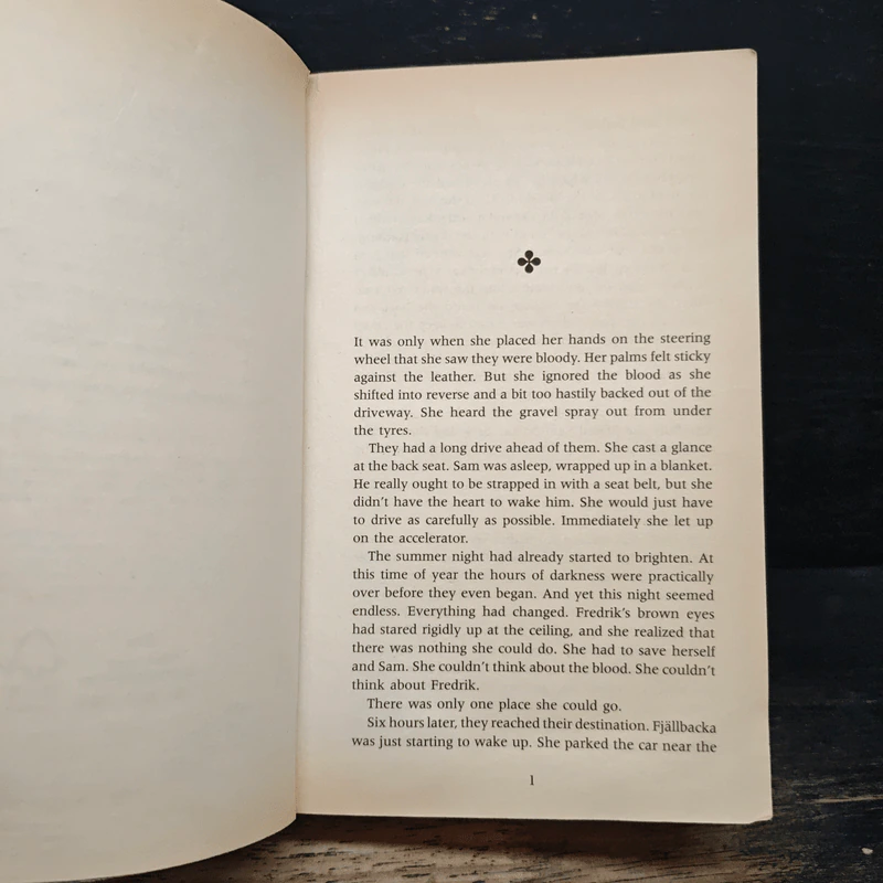 The Lost Boy - Camilla Lackberg รูปที่ 7