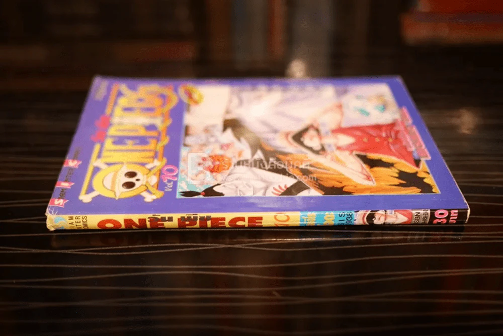One Piece วันพีช รูปที่ 2