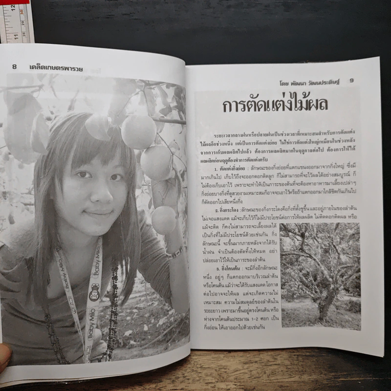เคล็ดเกษตรพารวย - พัฒนา วัฒนประดิษฐ์ รูปที่ 8