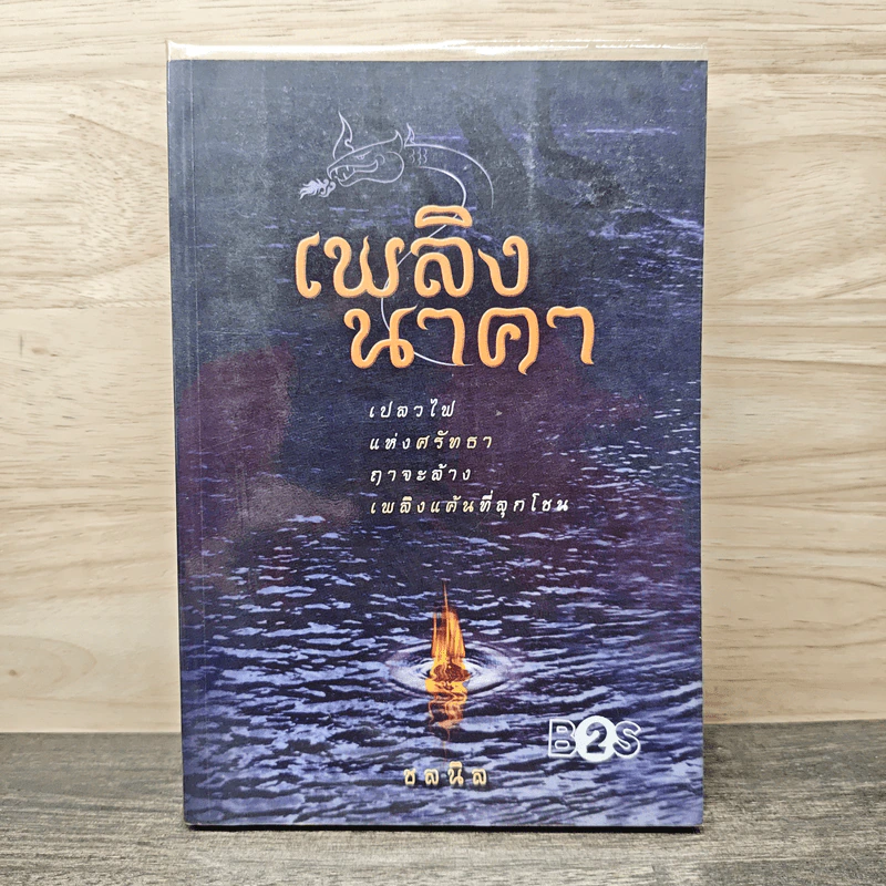 เพลิงนาคา - ชลนิล รูปที่ 1
