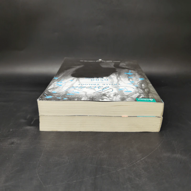 ชุดทริลล์ Trylle Trilogy เล่ม 2-3 - อแมนดา ฮ็อกคิง รูปที่ 6