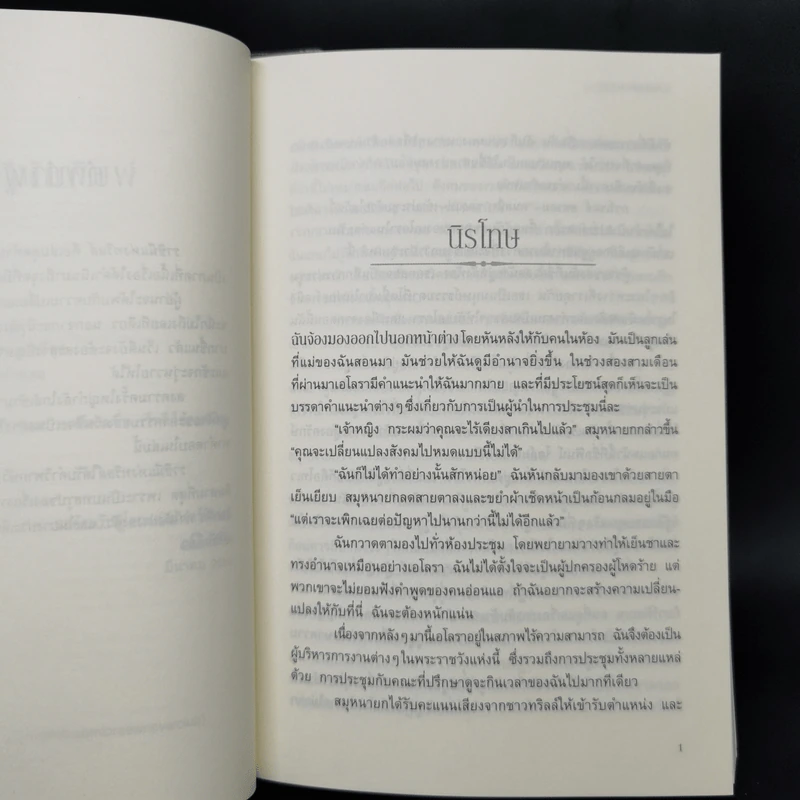 ชุดทริลล์ Trylle Trilogy เล่ม 2-3 - อแมนดา ฮ็อกคิง รูปที่ 13