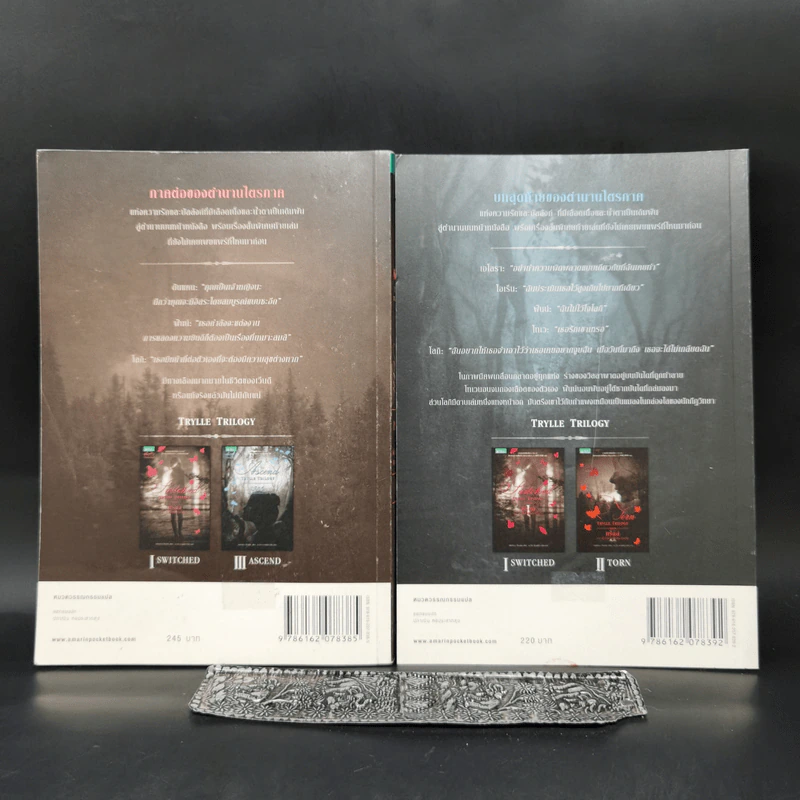 ชุดทริลล์ Trylle Trilogy เล่ม 2-3 - อแมนดา ฮ็อกคิง รูปที่ 2