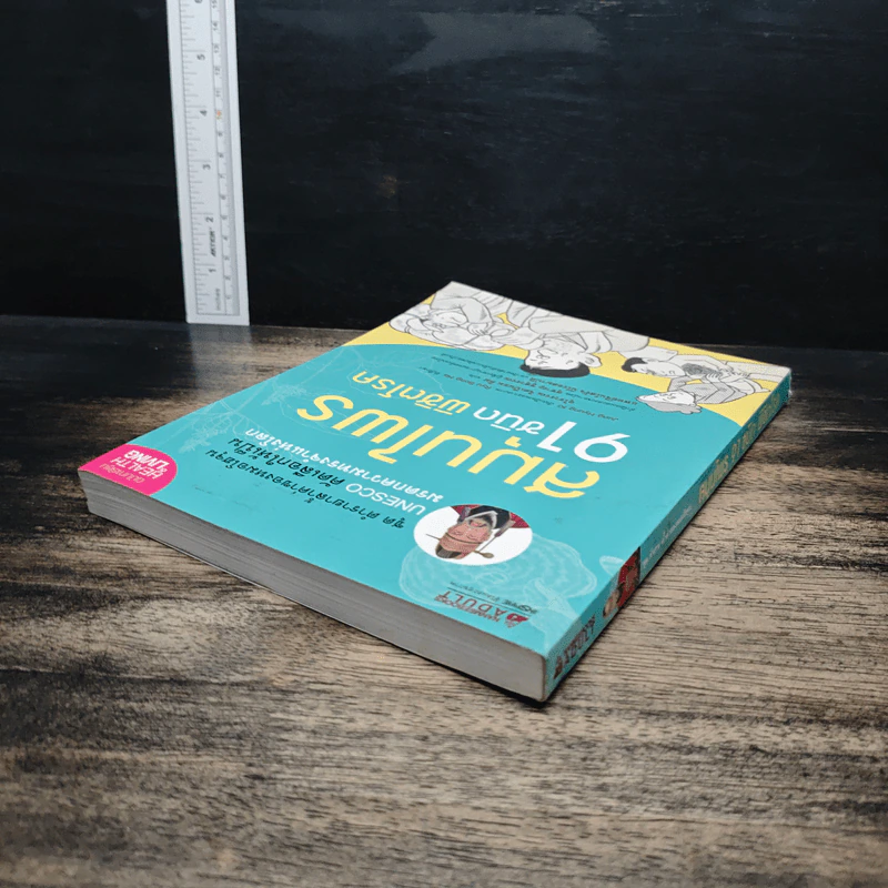 สมุนไพร 91 ชนิด พิชิตโรค - Jung Hyung Ki รูปที่ 5