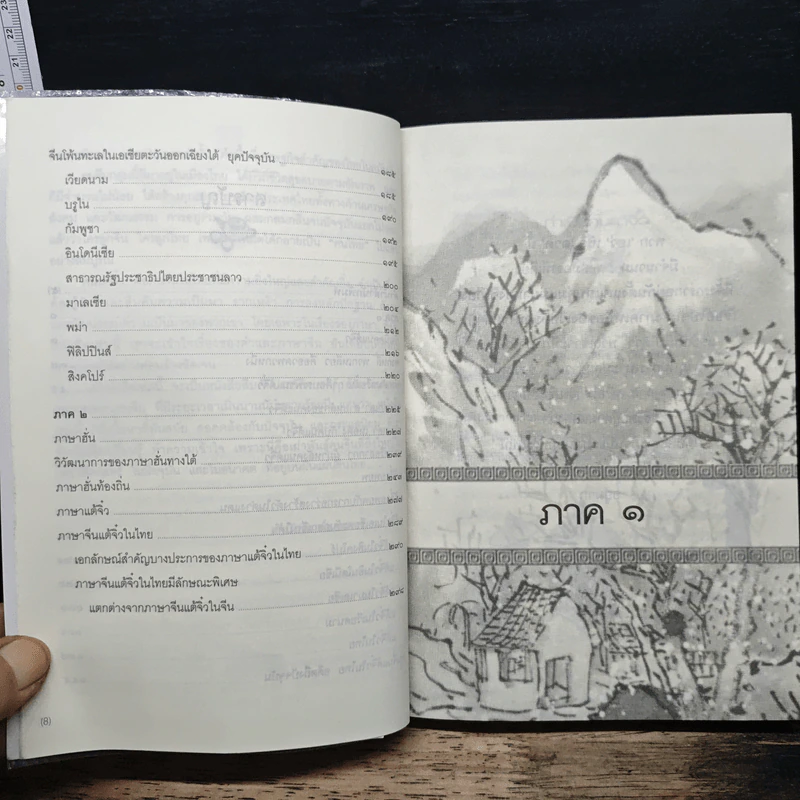 กำเนิดคนแต้จิ๋ว วิวัฒนาการจากอดีตถึงปัจจุบัน - อดุลย์ รัตนมั่นเกษม รูปที่ 8