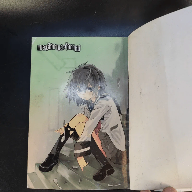แมลง ลูกตาและตุ๊กตาหมี 6 เล่มจบ - Yuriko Asami รูปที่ 14