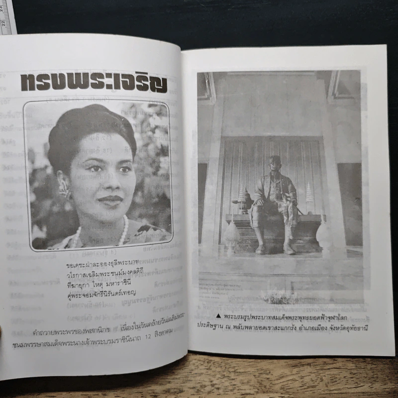 วันสำคัญของไทย - สุภักดิ์ อนุกูล รูปที่ 8