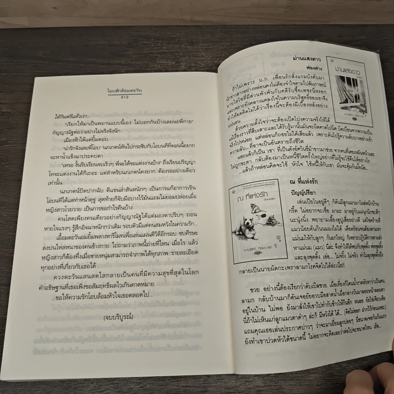 โอบฟ้าล้อมตะวัน - ปัญญ์ปรียา รูปที่ 8