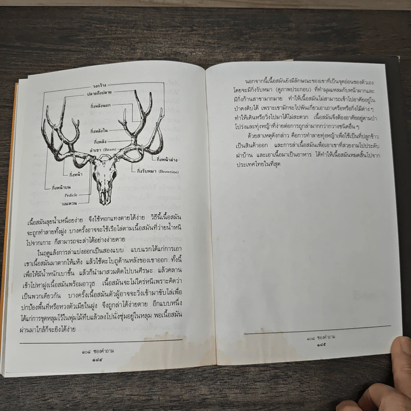 108 ซองคำถาม เล่ม 1 รูปที่ 8