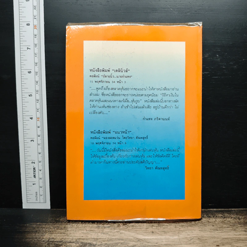 วิธีหาเงินในตลาดหุ้นและทางแก้เมื่อหุ้นวูบ - วิฑูรย์ วิริยะพันธุ์ รูปที่ 2