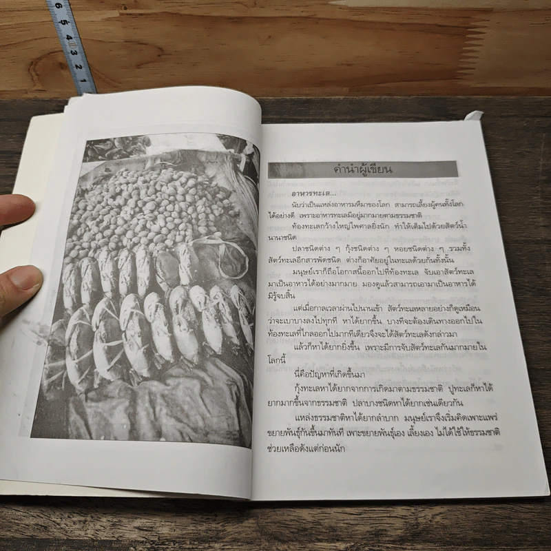 เคล็บลับ เลี้ยงสัตว์ทะเลเศรษฐกิจ ให้เกิดรายได้ - ธนพันธุ์ เมธาพิทักษ์ รูปที่ 7