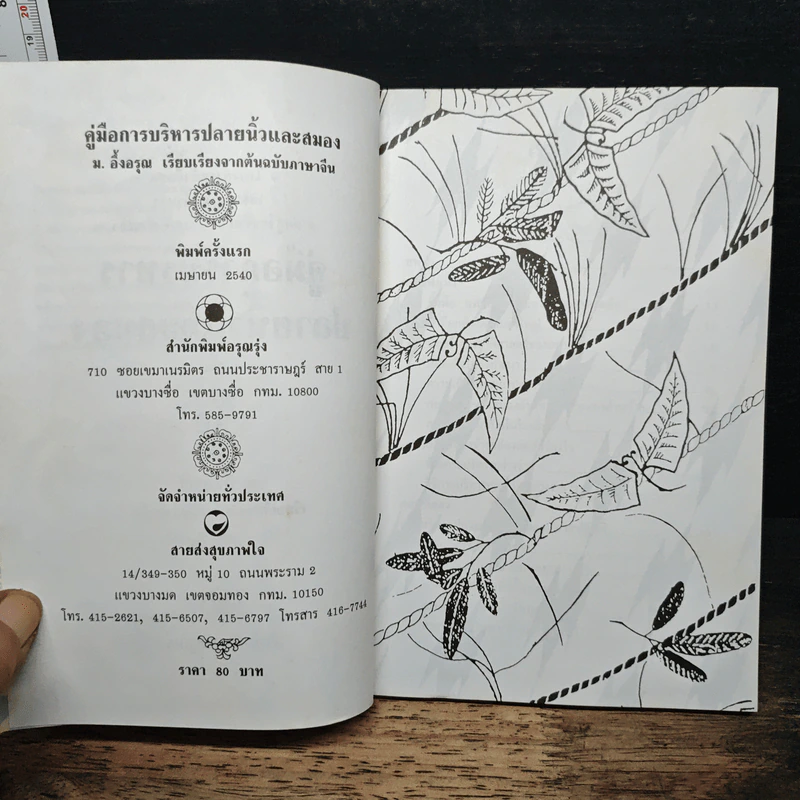 คู่มือการบริหารปลายนิ้วและสมอง - ม.อึ้งอรุณ รูปที่ 6