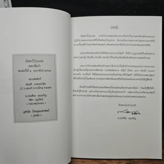 ผัสสะไร้ปรุงแต่ง - ดอกเข็มป่า รูปที่ 6