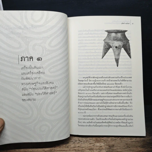 เครื่องปั้นดินเผาและเครื่องเคลือบ - ศรีศักร วัลลิโภดม รูปที่ 7