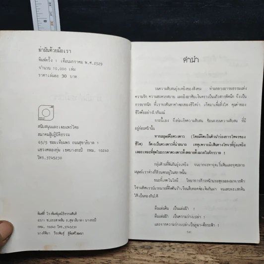 ฆ่ามันด้วยมือเรา รูปที่ 6
