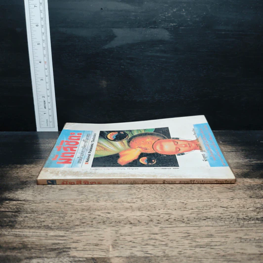 มัตสึชิตะ เทพเจ้าแห่งการจัดการที่โลกสยบ - พีรยุทธ สุเทพคีรี รูปที่ 3