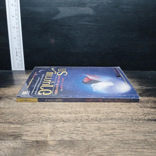 อานุภาพรัก Embraced by the Light - Betty J. Eadie, อมรา ตัณฑ์สมบุญ รูปที่ 3