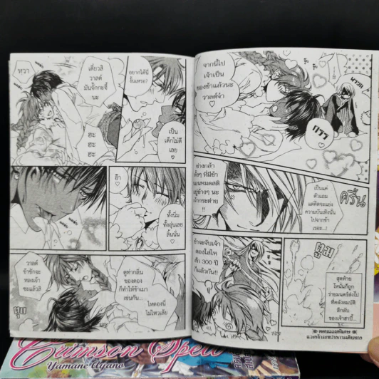 การ์ตูนวาย Crimson Spell คริมสันสเปลล์ เล่ม 1-5 รูปที่ 10
