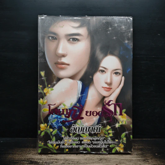 โสเภณียอดรัก - อัญญาณี รูปที่ 1