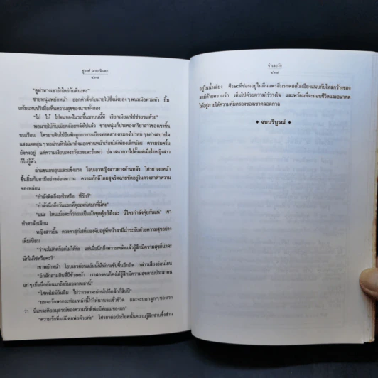 พิชัยสงครามขุนศึก - ไม้ เมืองเดิม รูปที่ 13