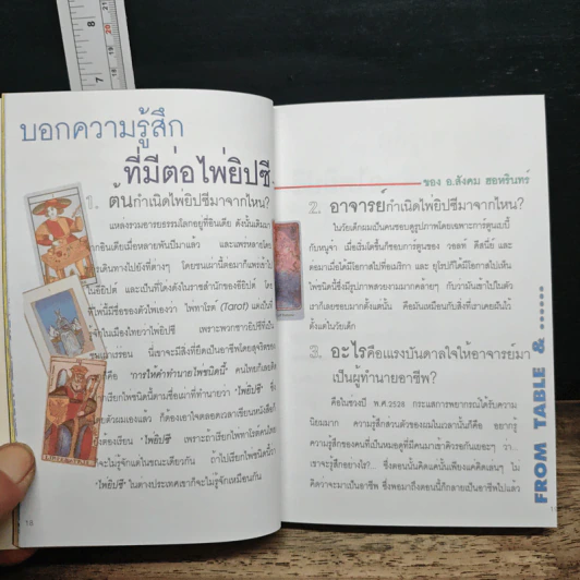 The Love Tarot ทำนายความรัก + ไพ่ยิปซี - สังคม ฮอหรินทร์ รูปที่ 11