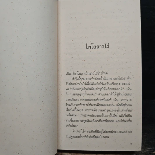 เสเพลบอยชาวไร่ - รงค์ วงษ์สวรรค์ รูปที่ 10