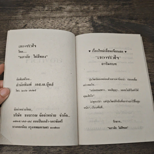 สองหัวใจ - นภาลัย ไผ่สีทอง รูปที่ 6