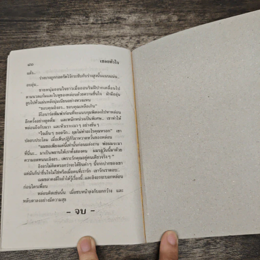 เชลยหัวใจ - นภาลัย ไผ่สีทอง รูปที่ 8