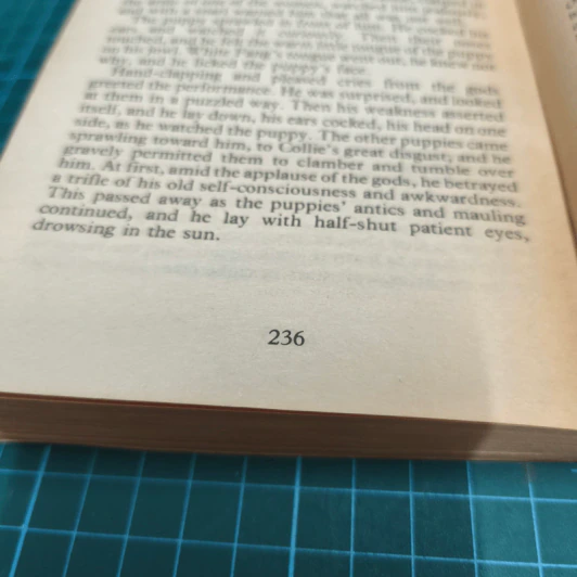 White Fang - Jack London รูปที่ 10