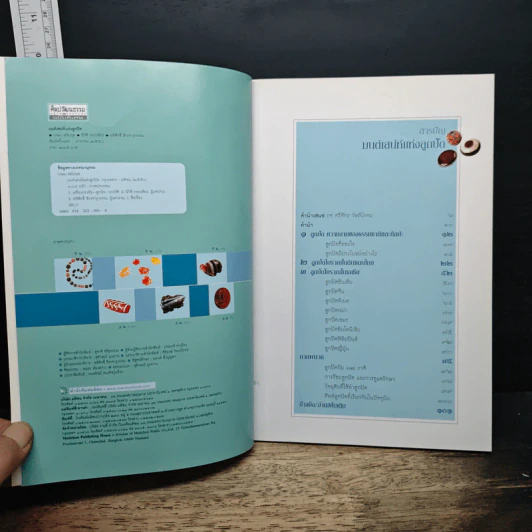 หนังสือ มนต์เสน่ห์แห่งลูกปัด - รศ. ศรีศักร วัลลิโภดม รูปที่ 6