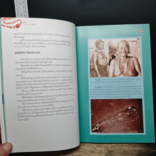 หนังสือ มนต์เสน่ห์แห่งลูกปัด - รศ. ศรีศักร วัลลิโภดม รูปที่ 8