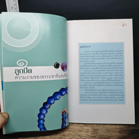 หนังสือ มนต์เสน่ห์แห่งลูกปัด - รศ. ศรีศักร วัลลิโภดม รูปที่ 7