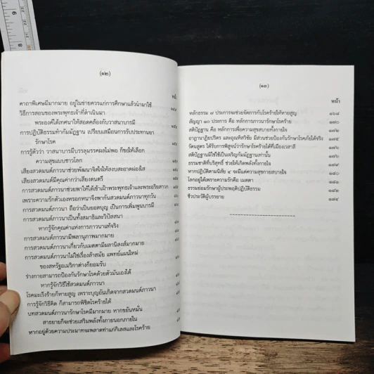 พลังรังษีธรรม - พระสิงห์ทน นราสโก รูปที่ 9