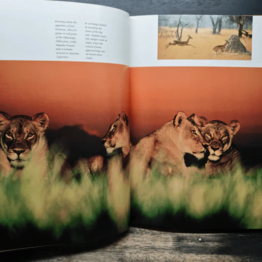 National Geographic: Last Wild Places รูปที่ 13
